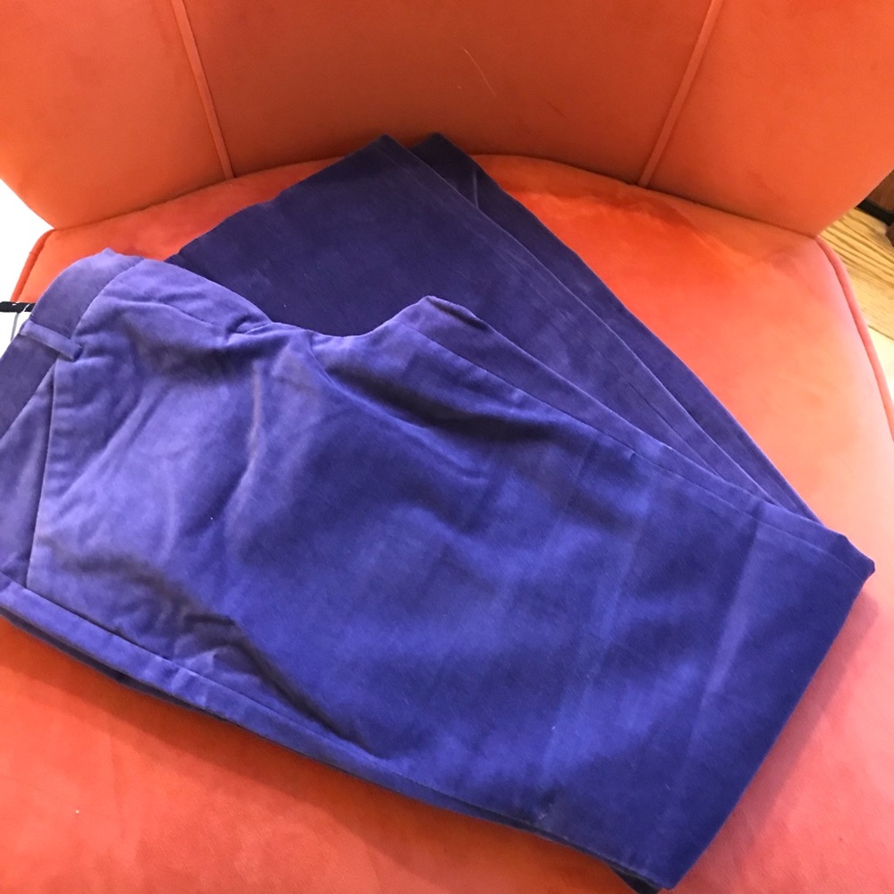 Plum Velvet Drew Pants from The Limited